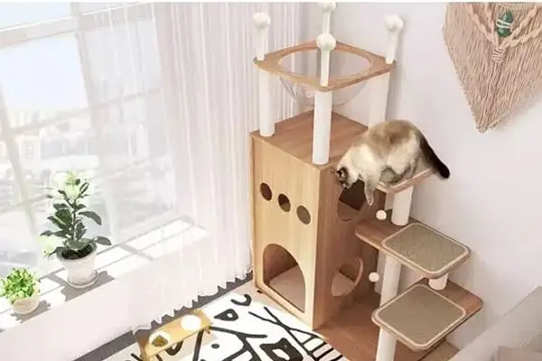 Gatil em apartamento